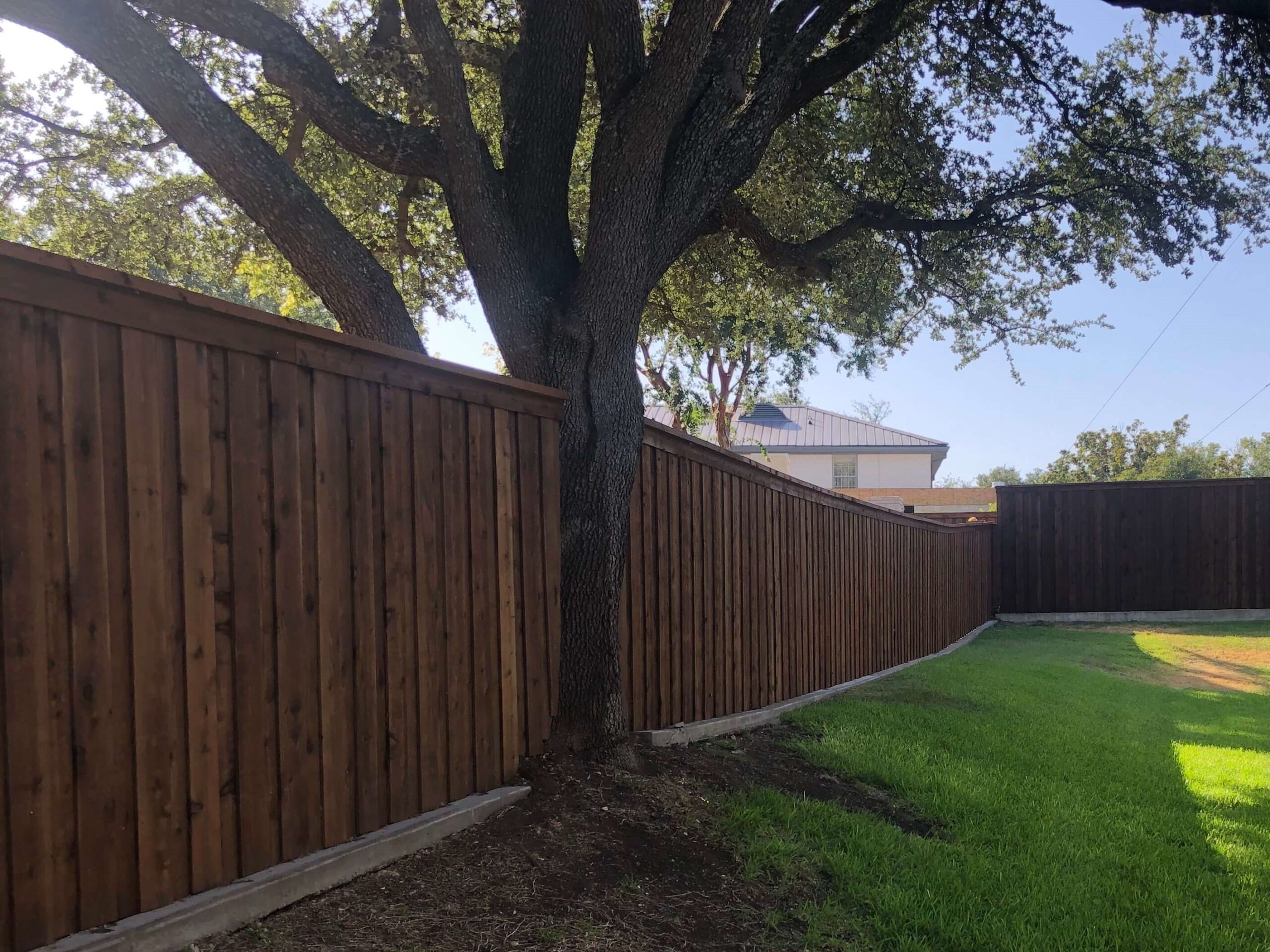 wood fence Wylie around tree